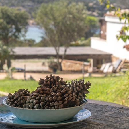 Susy House Villa Baja Sardinia Ngoại thất bức ảnh