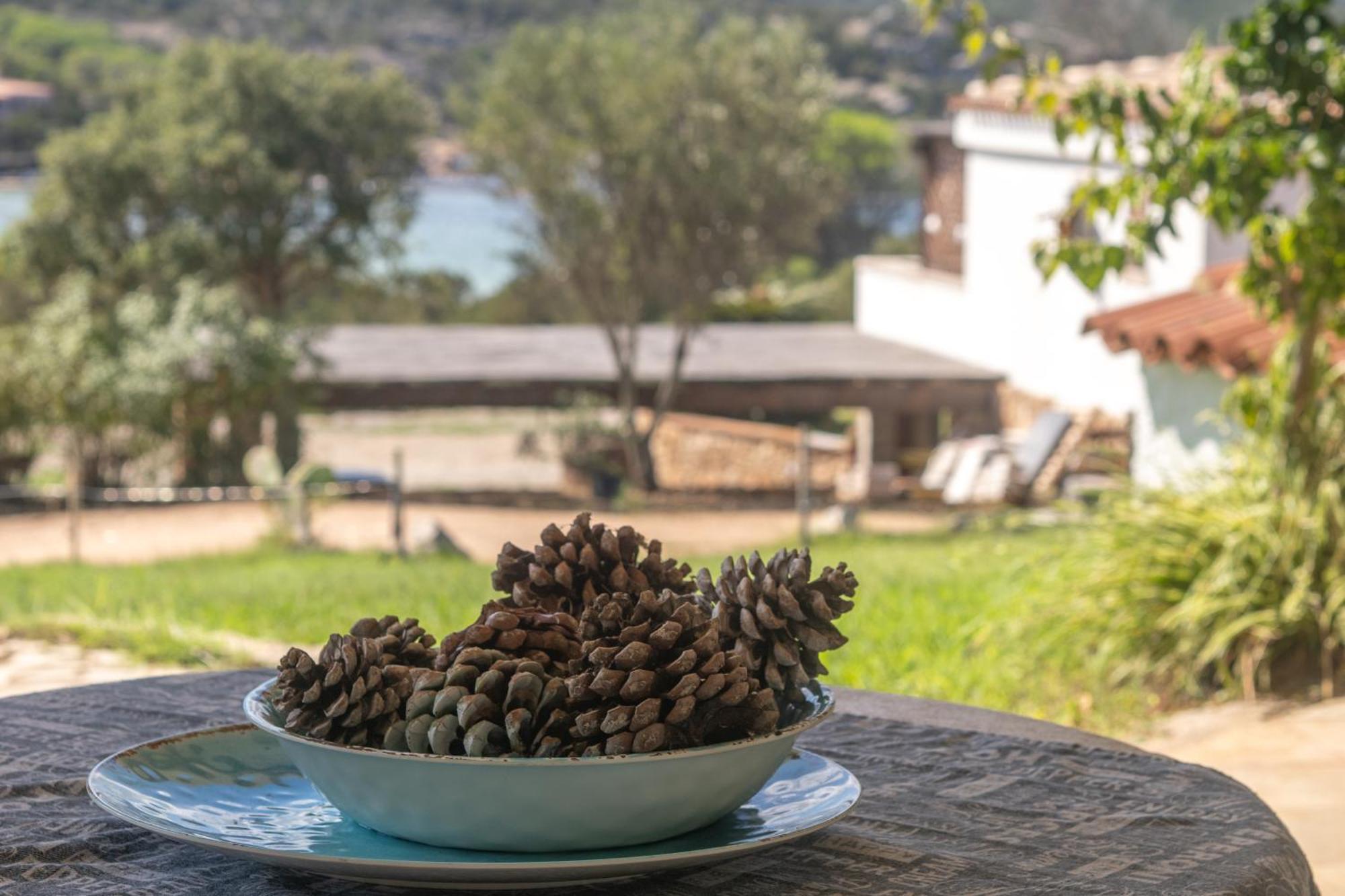 Susy House Villa Baja Sardinia Ngoại thất bức ảnh